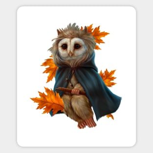 Owl "David" Magnet